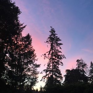 Meet your Posher, Kristi